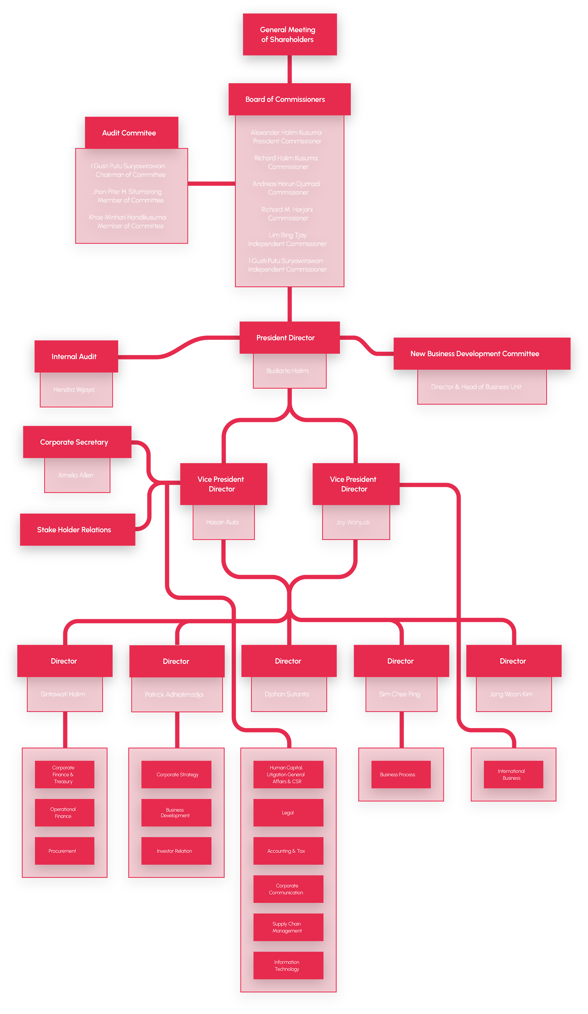 Organization Structure of Erajaya Group